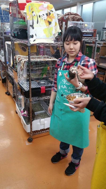 http://www.oita-h.ed.jp/high/info/jikei03.jpg